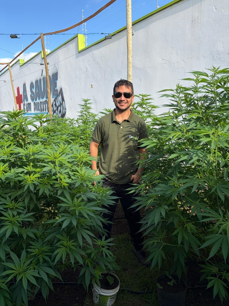 Laudos agronômicos | Consultoria | Cursos | Elaboração de projetos | Habeas Corpus | Cannabis Medicinal e Industrial