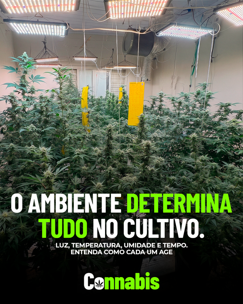 Laudos agronômicos | Consultoria | Cursos | Elaboração de projetos | Habeas Corpus | Cannabis Medicinal e Industrial