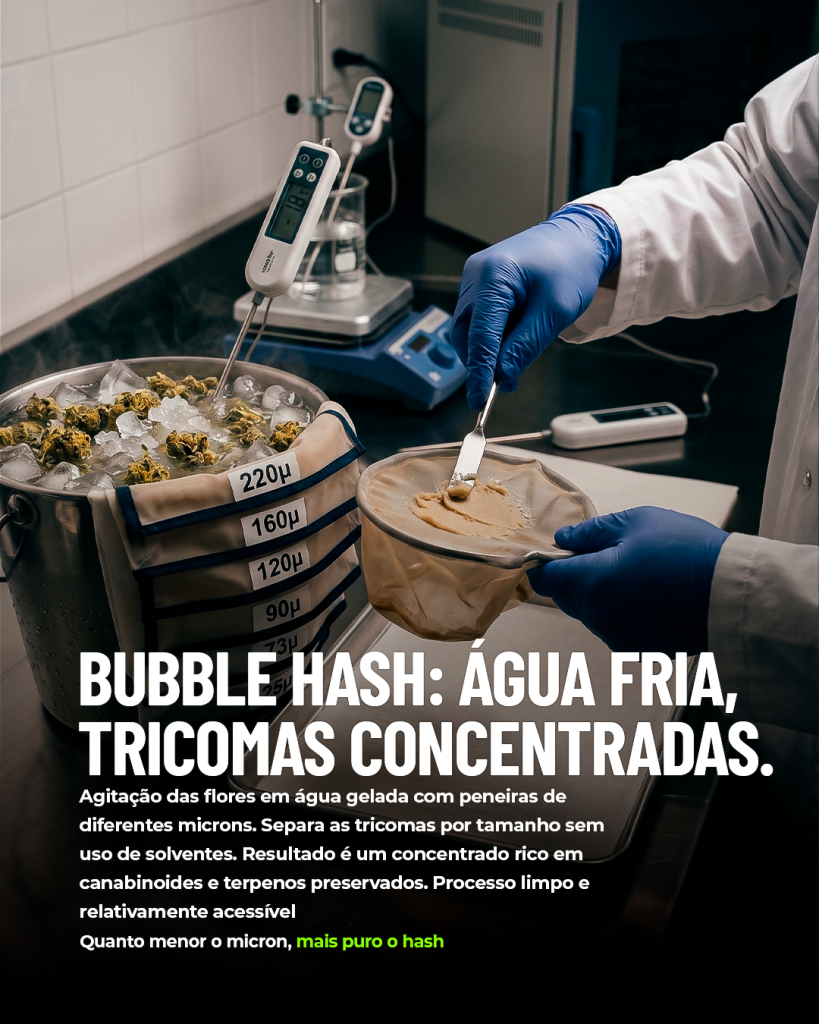 Laudos agronômicos | Consultoria | Cursos | Elaboração de projetos | Habeas Corpus | Cannabis Medicinal e Industrial