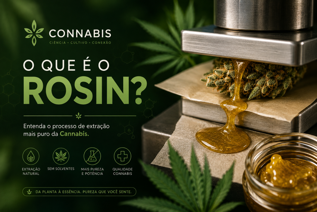 Laudos agronômicos | Consultoria | Cursos | Elaboração de projetos | Habeas Corpus | Cannabis Medicinal e Industrial