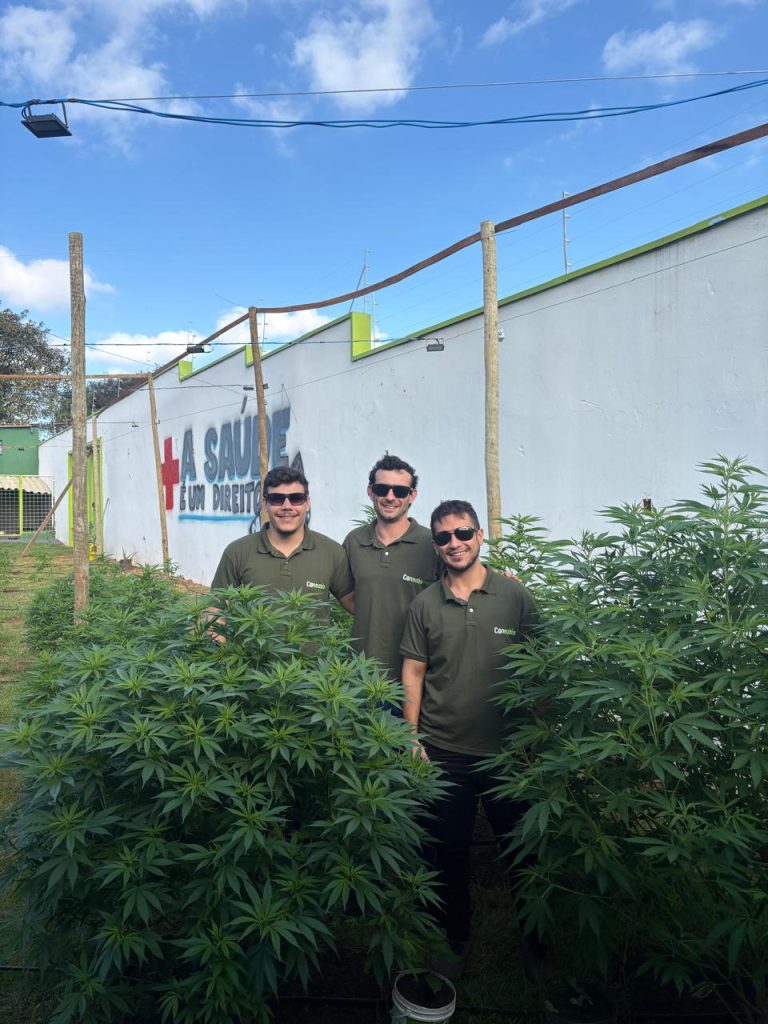 Laudos agronômicos | Consultoria | Cursos | Elaboração de projetos | Habeas Corpus | Cannabis Medicinal e Industrial