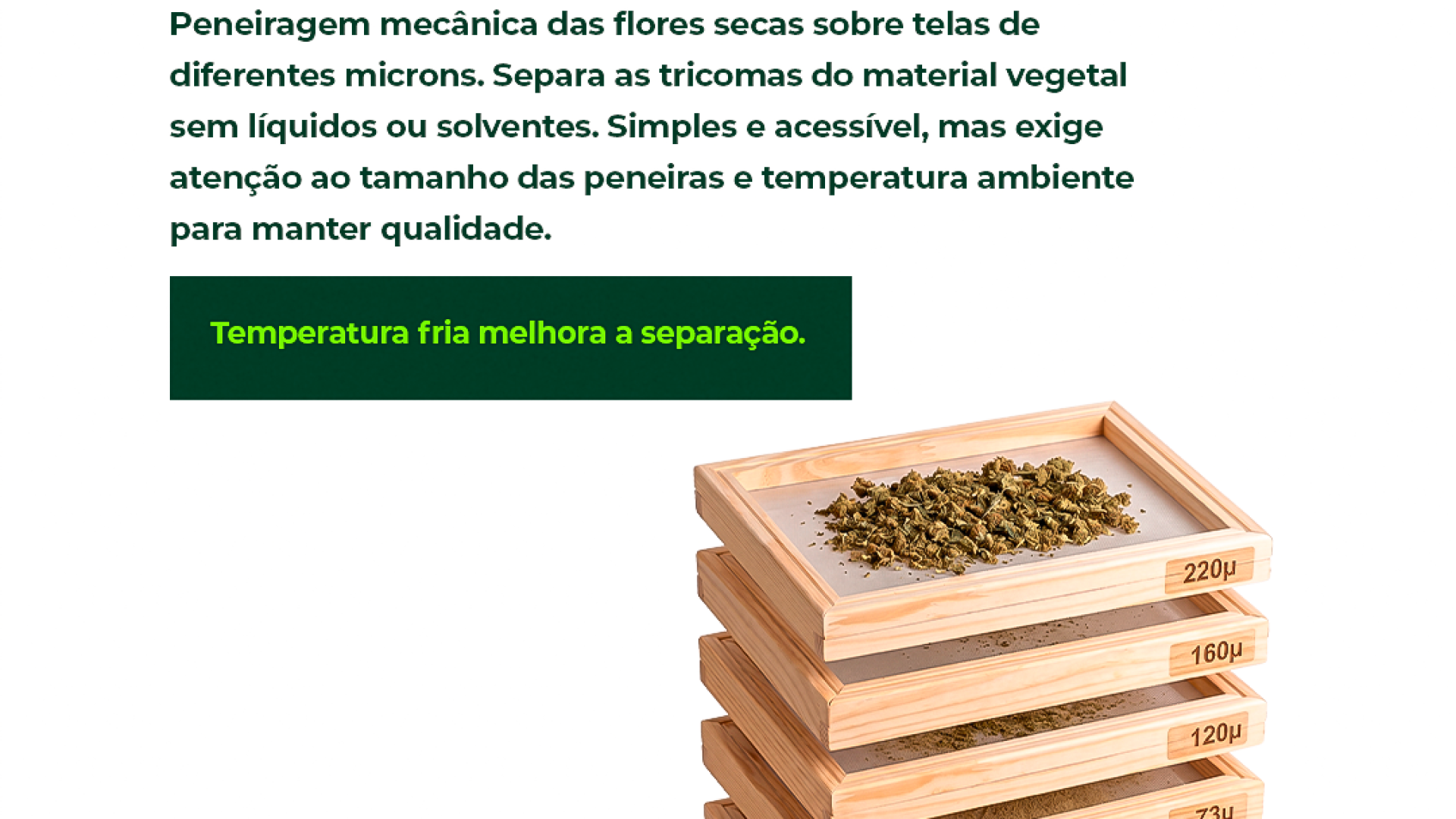 Laudos agronômicos | Consultoria | Cursos | Elaboração de projetos | Habeas Corpus | Cannabis Medicinal e Industrial