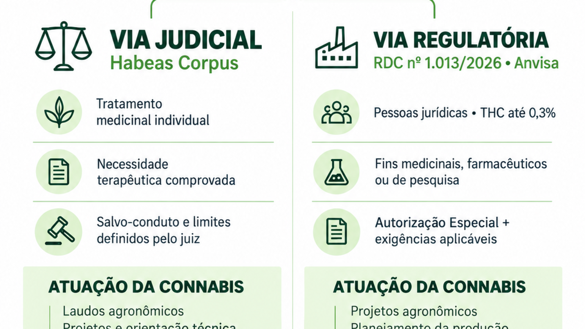 Regulamentação da Cannabis Medicinal no Brasil